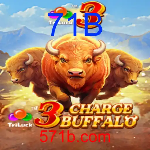 3ChargeBuffalo